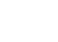 meson