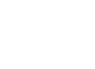 meson